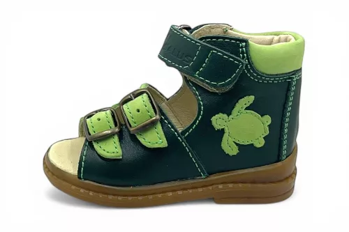 Flo-07 Zöld teknős