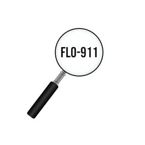 Flo-911 Egyeztetés alapján