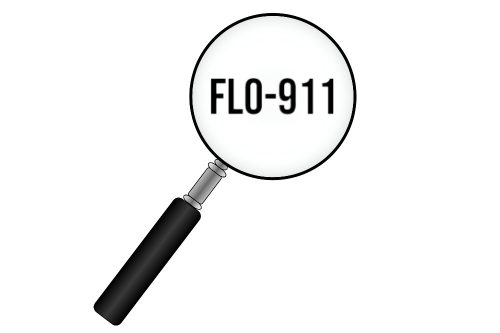Flo-911 Egyeztetés alapján