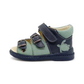 Flo-911 Kék teknős